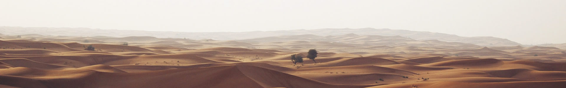 ٕNӿƼ޹˾